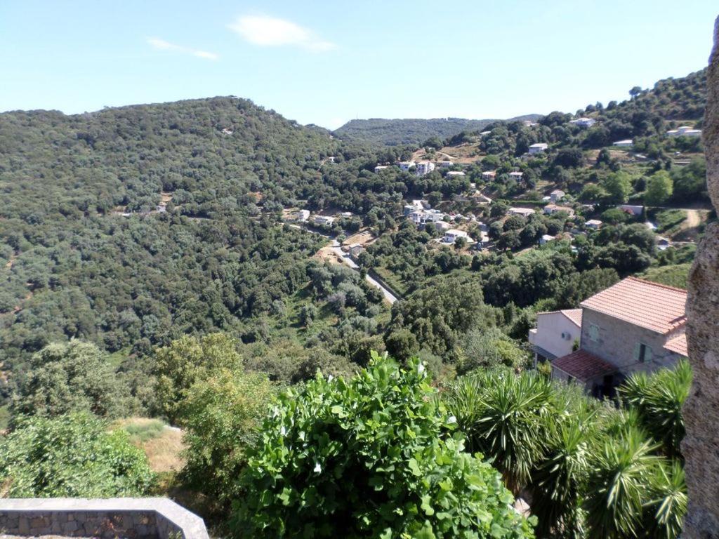Appartement De Charme Entre Mer Et Montagne Sollacaro Dış mekan fotoğraf